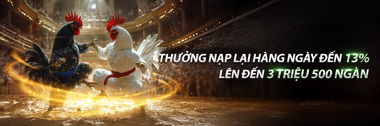 Đá gà trực tuyến Vicclub Đăng Nhập 2026