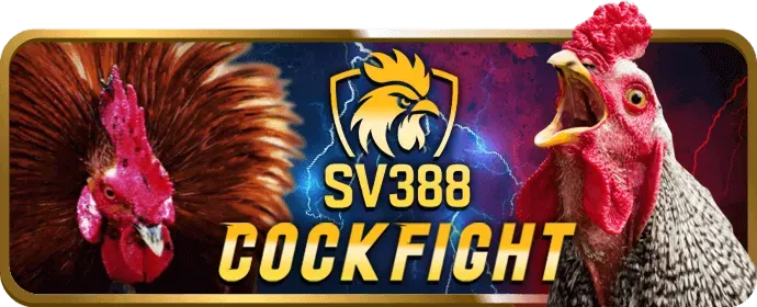 Hoàn trả hàng tuần Vicclub